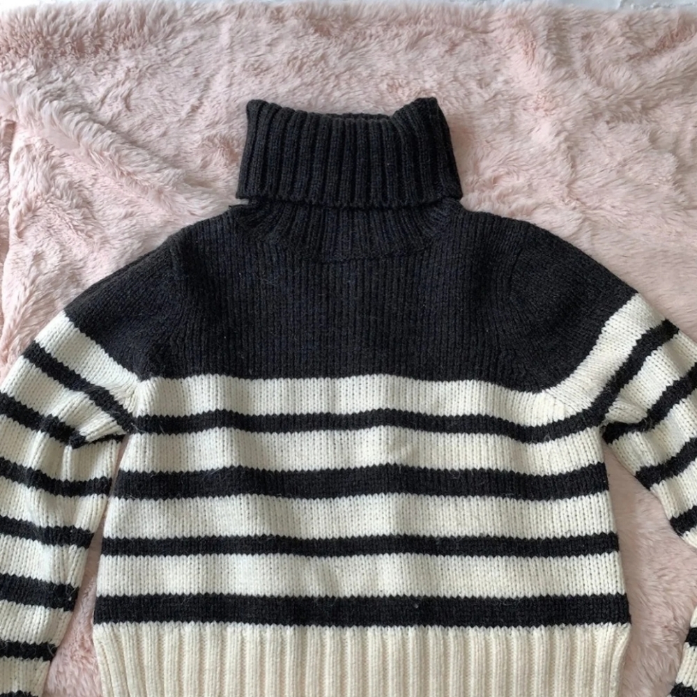 Zara cropped turtle neck sweater